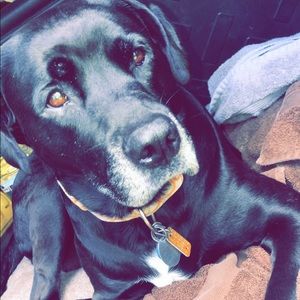 Meet your Posher, Mason